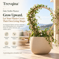Trevqina™ Halo Trellis Planter
